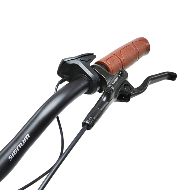 Elektrische fiets WAYSCRAL Everyway E450 T53 28\