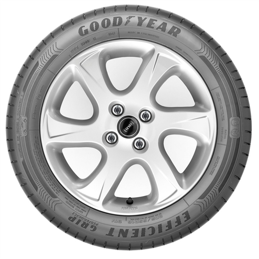 Pneu GOODYEAR EFFICIENTGRIP PERFORMANCE 205/55 R16 91 V : Auto5.be